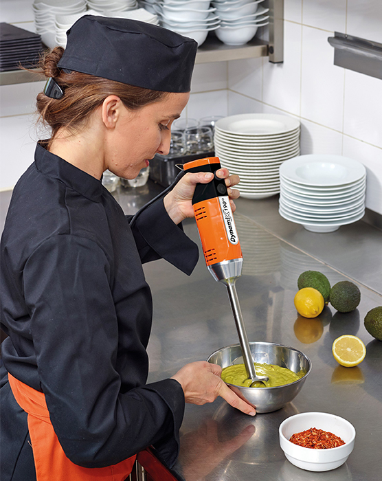 Professional hand mixer DYNAMIX® DMX 160 V2 MX055| Dynamic